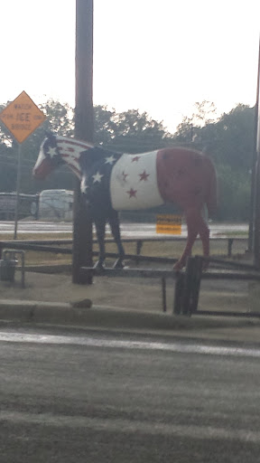 USA Flag Horse