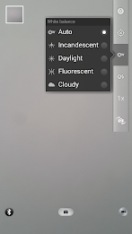 selfiecam-t poster 4