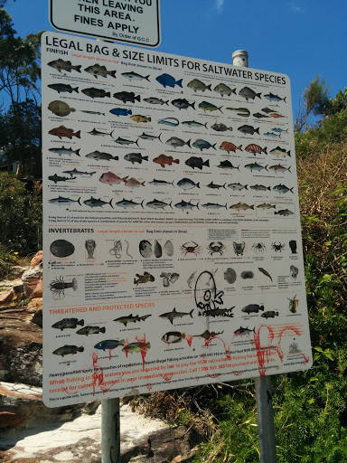 Avoca Fish Sign