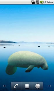 How to download Manatee Side Sticker lastet apk for laptop