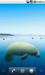 Manatee Side Sticker poster 2