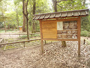 Ritual Site in Tadasu-no-Mori