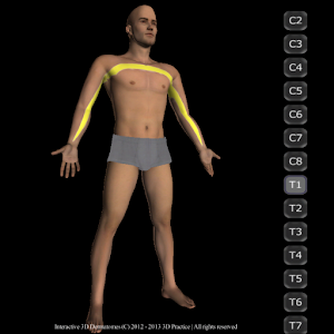 Interactive 3D Dermatomes logo