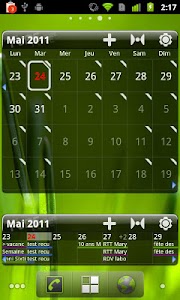 Screenshot Pure Grid calendar widget v2.6.6