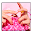 Вязание крючком и спицами Download on Windows