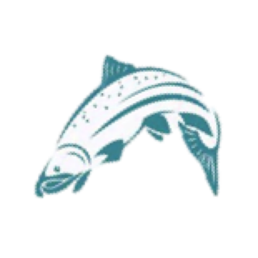 Nushagak River Fishing Lodge LOGO-APP點子