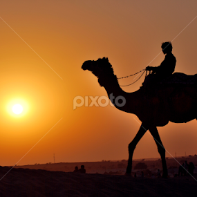 by Vijay Nagaonkar - People Street & Candids