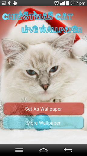 Christmas Cat Live Wallpapers