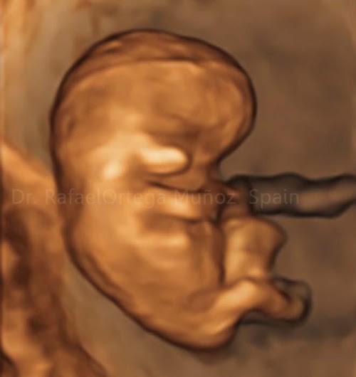 Android application Pregnancy by week screenshort