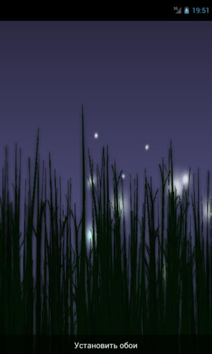 Fireflies