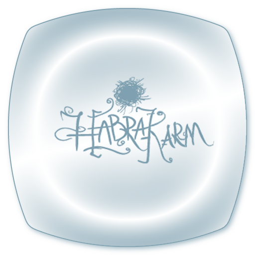 Habrakarm LOGO-APP點子