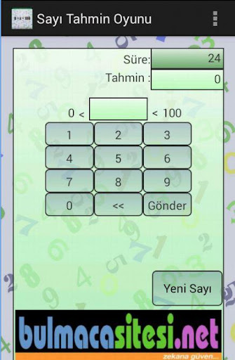 Number Estimation Game