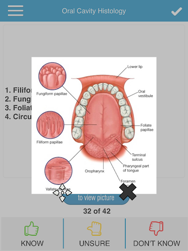 【免費教育App】NBDE Anatomy for Dental Boards-APP點子