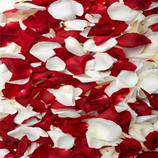 Petals 3D Live Wallpaper – Soft for Android 2018 – Free ...