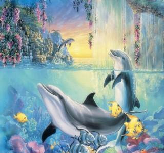 [ベスト] イルカ 画像 壁紙 111582-壁紙 イルカ 画像