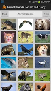 download Funny Animal Sounds free