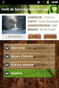 Bois Forêt Screenshots 11