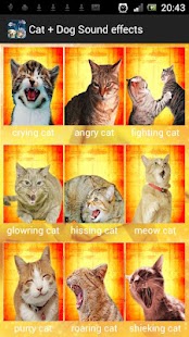 How to download Cat + Dog Sound effects 1.8 unlimited apk for laptop