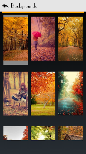 【免費個人化App】Autumn Maple Live Wallpaper-APP點子