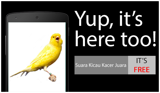 Free download kicau burung kenari gacor