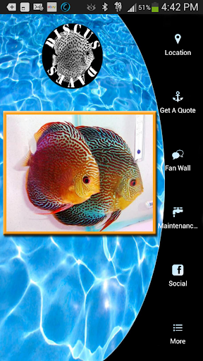 Discus Dave's