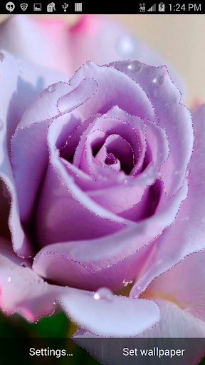 Pink Glitter Rose L Wallpaper