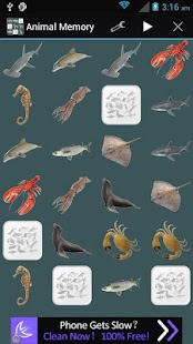 Free Download Animal Memory APK for PC