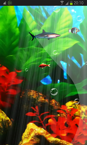 Perfecto Aquarium Real Fish HD