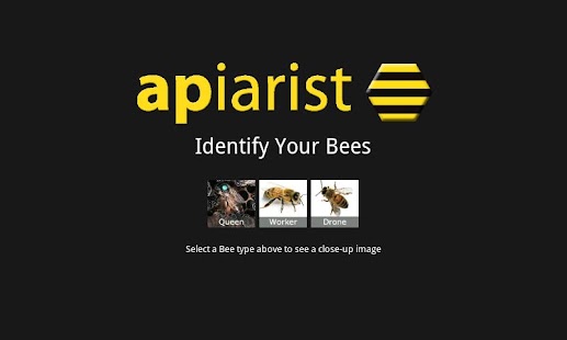 How to install Apiarist 1.0 apk for laptop