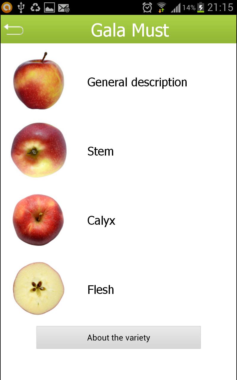 Varieties of apples Screen 3