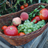 Gardening Fruit & Veg