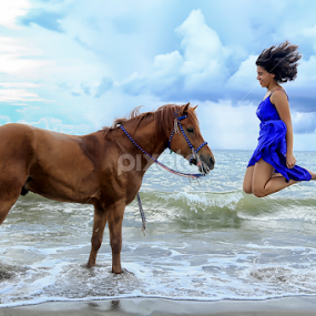 Sam & Ryker by JD Pascual - Animals Horses