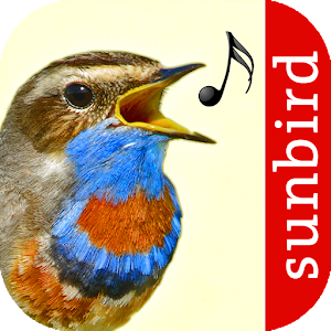 Vogelstimmen Id - Ruf + Gesang logo