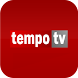 TEMPO TV