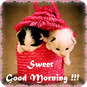 pS1WCK1SHK2tZICFOfHHiFZRq2WqdI92db5JlEhj7LaiQf-UE21hzstVjZEkAFEP47k=w300