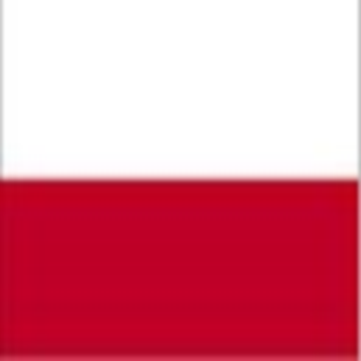 English Polish translator 教育 App LOGO-APP開箱王