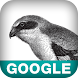 Using Google App Engine