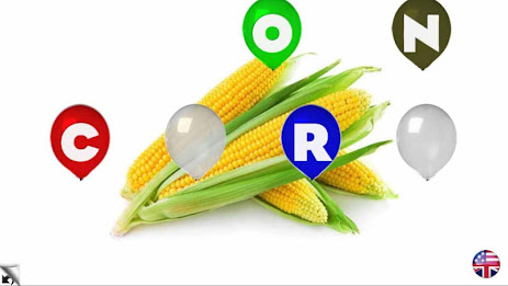 Educational flashcards poster 19