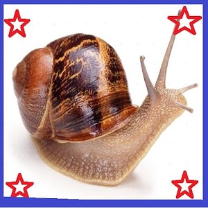 Snail Space 3D 1.625