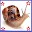 Snail Space 3D Download on Windows
