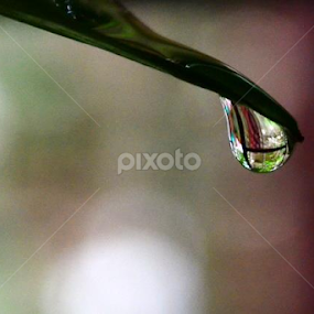 by Janhavi Pathak - Abstract Water Drops & Splashes
