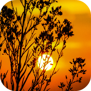 Sunset Wallpapers.apk 1.0