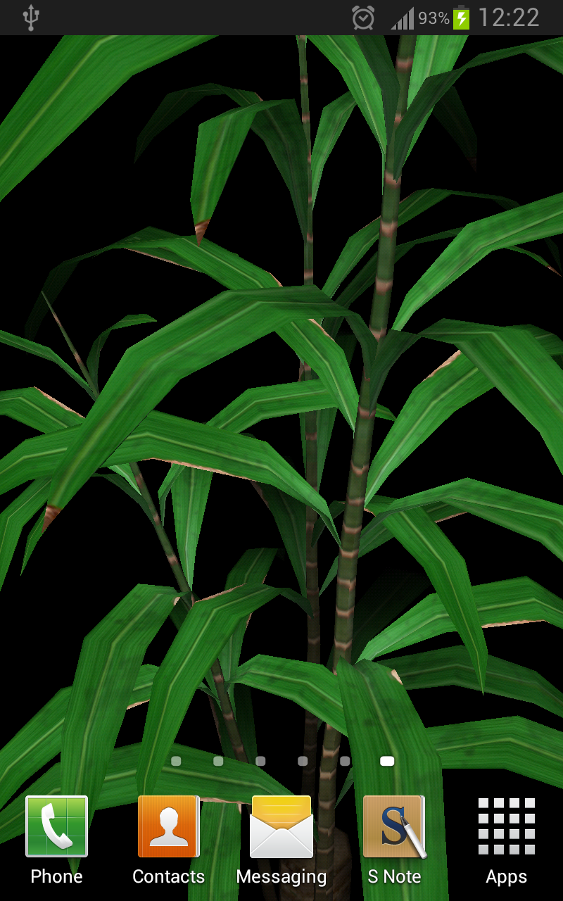 Bamboo Plant Yau 3D Parallax Screen 1