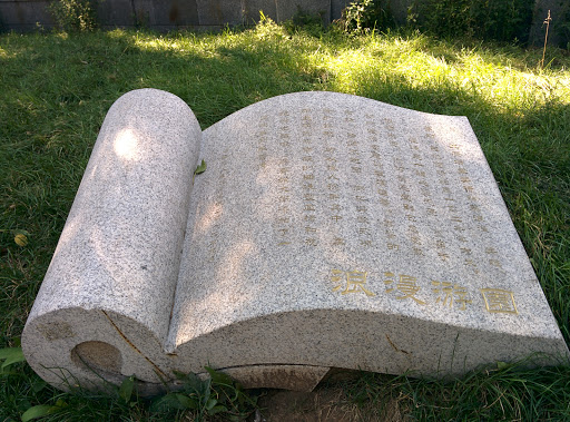 A Book in a Stone