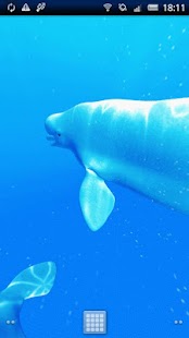 How to get Shoal of Beluga lastet apk for android