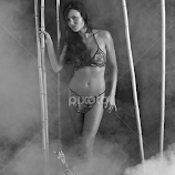 Amazon  by Dale Frazier -  