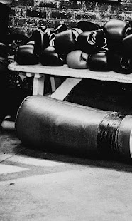 Lastest Boxing wallpaper APK