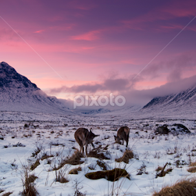 Kings House Hotel by Jackson Visser - Landscapes Mountains & Hills