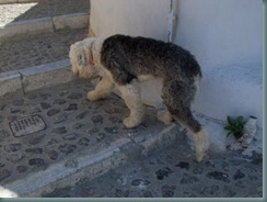 DSCN2407