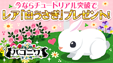 ハコニワ ふしぎな手紙とどうぶつ島 Gree育成ゲーム Androidアプリ Applion